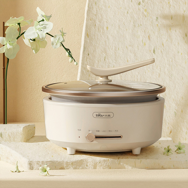 Wielofunkcyjna kuchenka elektryczna