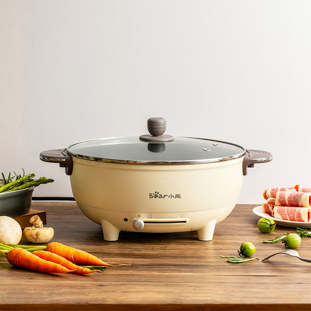 Wielofunkcyjna kuchenka elektryczna