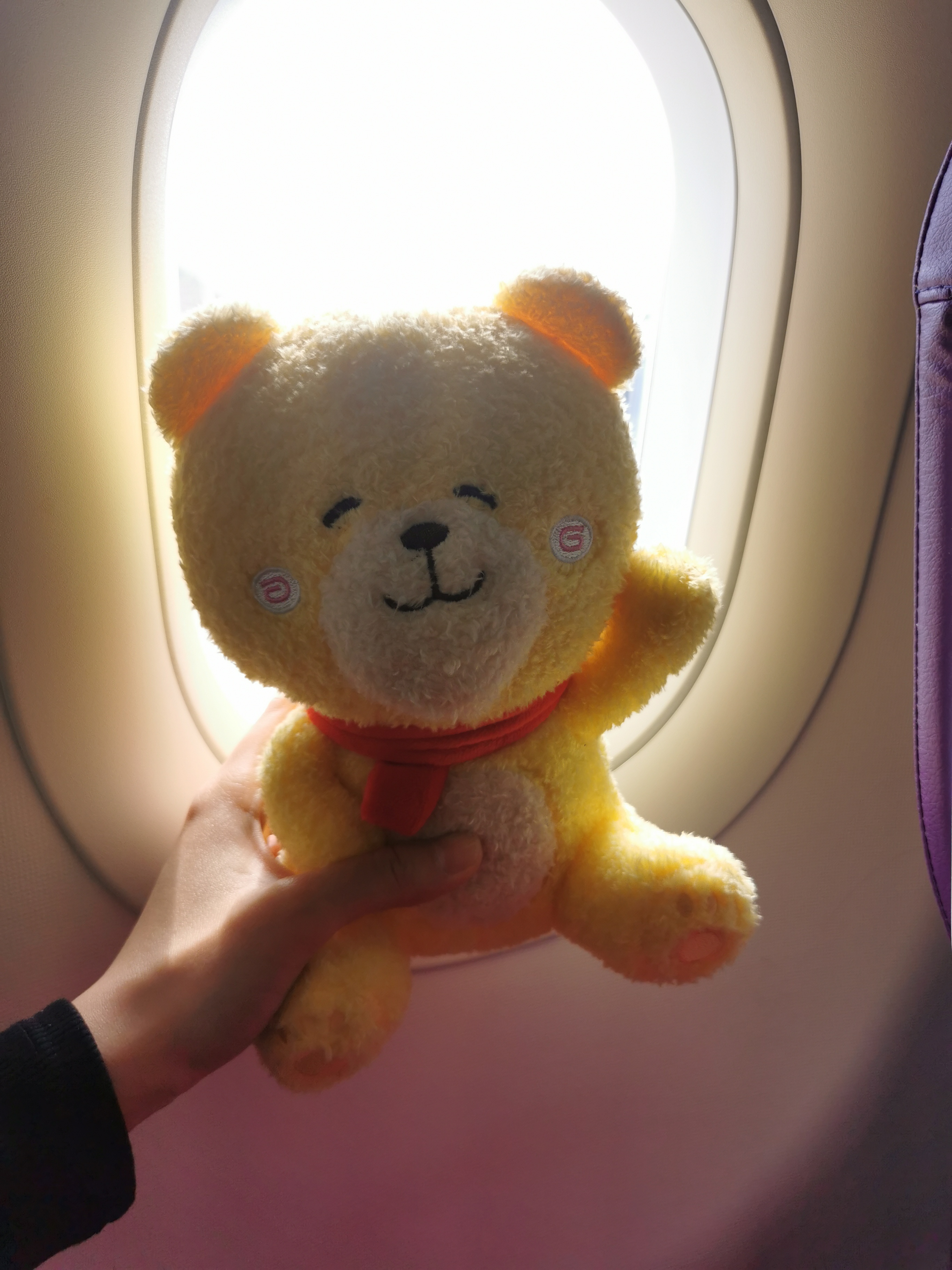 bear electric appliance